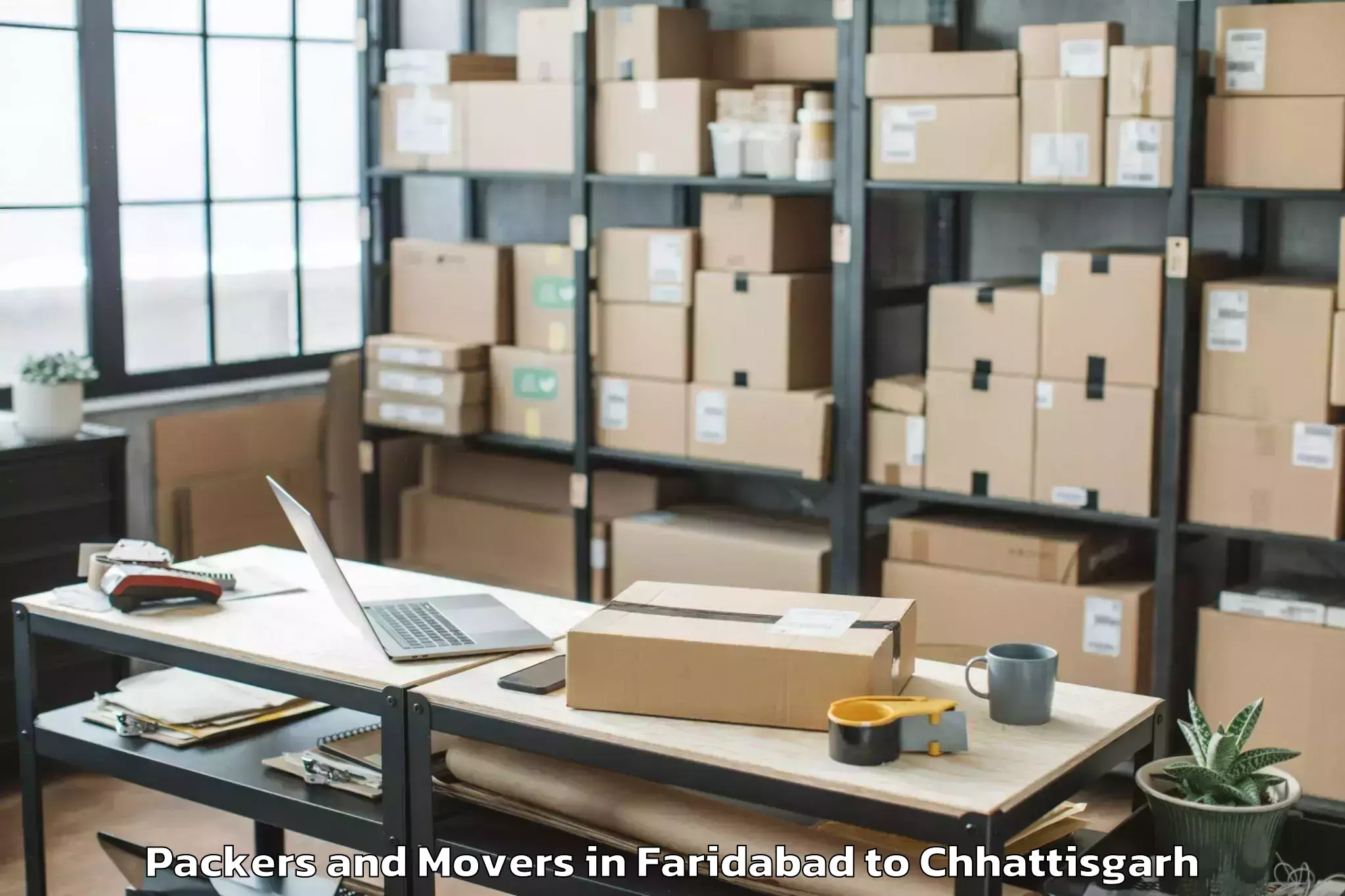 Professional Faridabad to Janjgir Packers And Movers